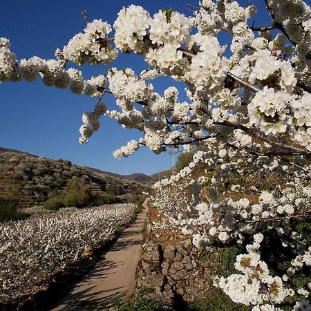 Casa Rural Arbequina, Refugio De Primavera Casas del Monte Eksteriør bilde