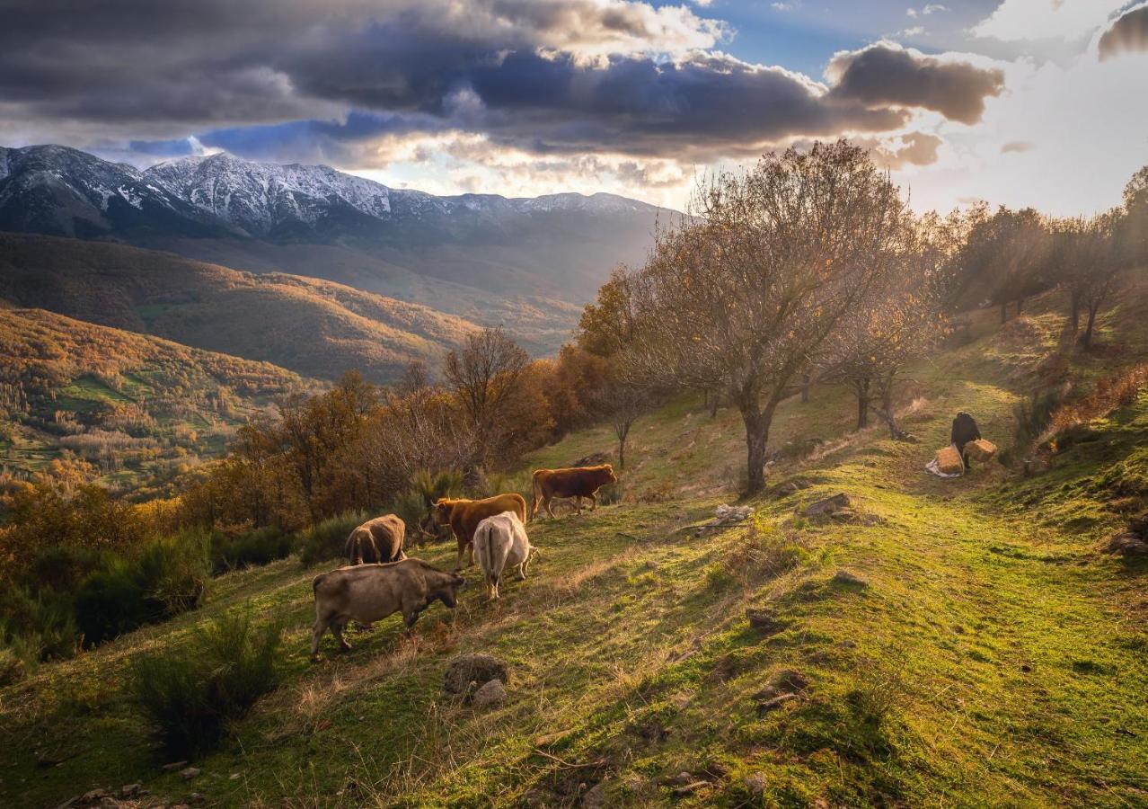 Casa Rural Arbequina, Refugio De Primavera Casas del Monte Eksteriør bilde