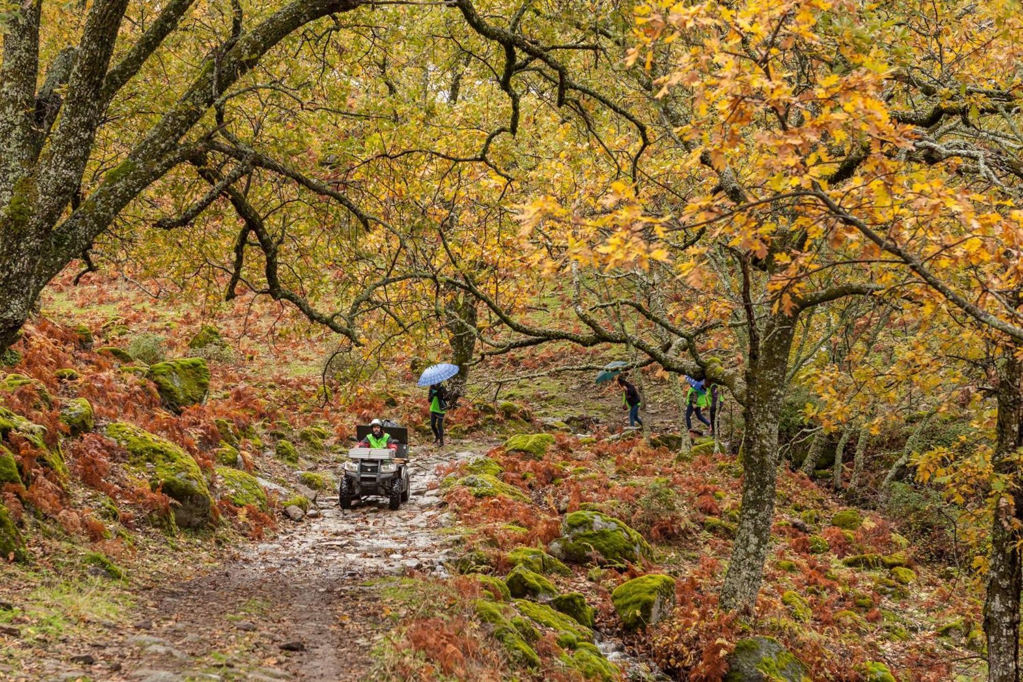 Casa Rural Arbequina, Refugio De Primavera Casas del Monte Eksteriør bilde