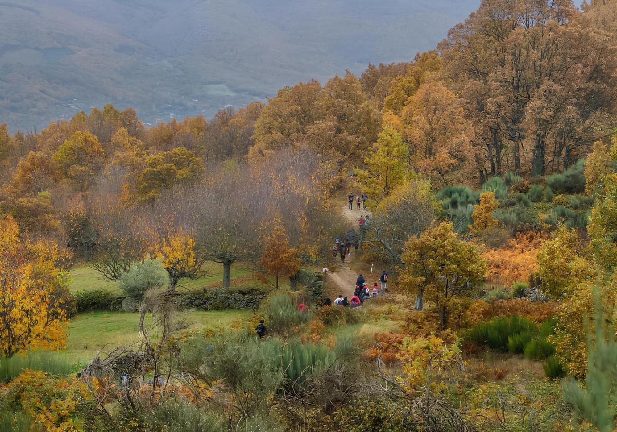 Casa Rural Arbequina, Refugio De Primavera Casas del Monte Eksteriør bilde